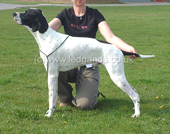 1st Special Beginners Dog and 3rd Novice Dog